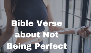 Bible Verse about Not Being Perfect