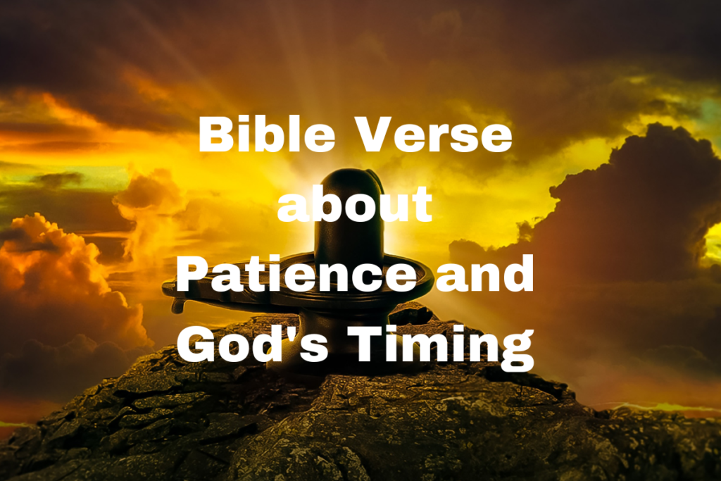 Bible Verse about Patience and God's Timing