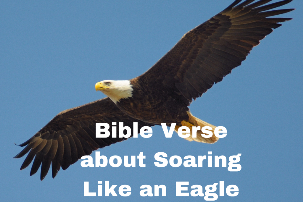 Bible Verses about Soaring Like an Eagle