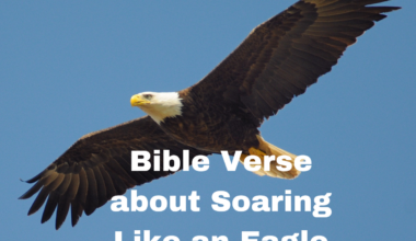 Bible Verse about Soaring Like an Eagle