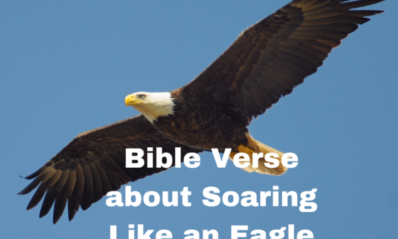 Bible Verse about Soaring Like an Eagle