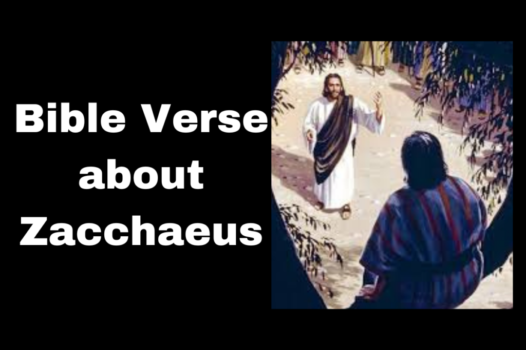 Bible Verse about Zacchaeus