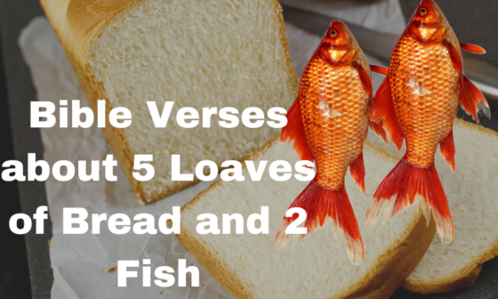 Bible Verses about 5 Loaves of Bread and 2 Fish