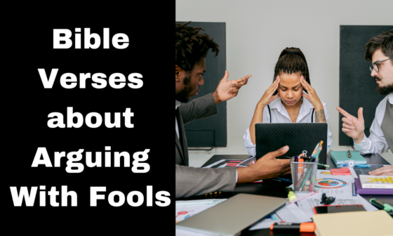 Bible Verses about Arguing With Fools