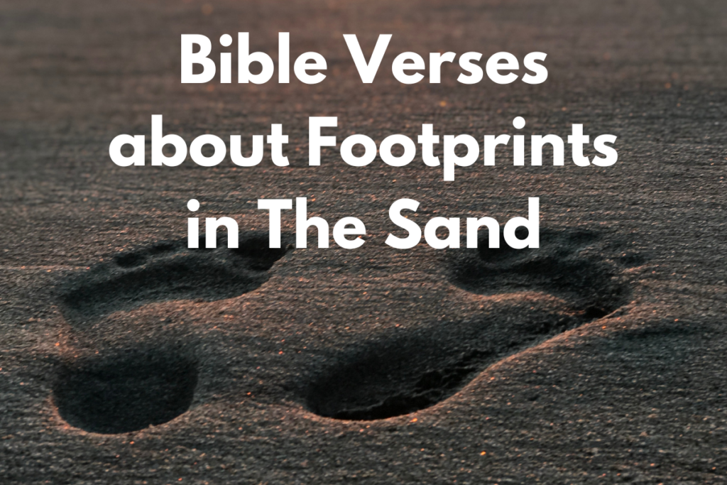 Bible Verses about Footprints in The Sand