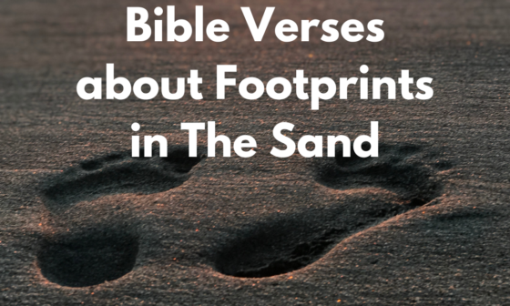 Bible Verses about Footprints in The Sand