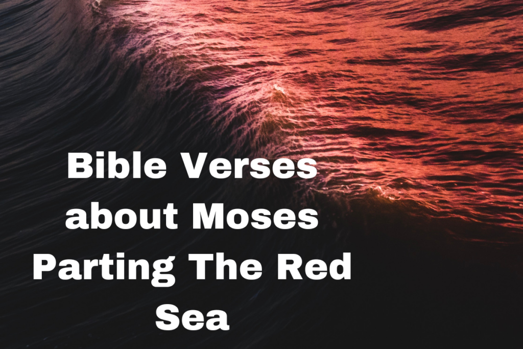 Bible Verses about Moses Parting The Red Sea