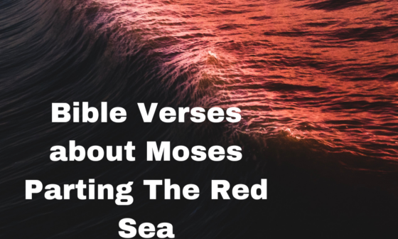 Bible Verses about Moses Parting The Red Sea