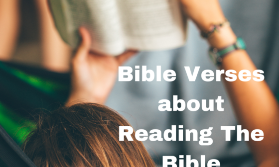 Bible Verses about Reading The Bible