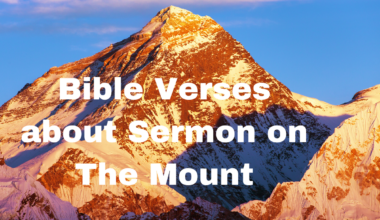 Bible Verses about Sermon on The Mount