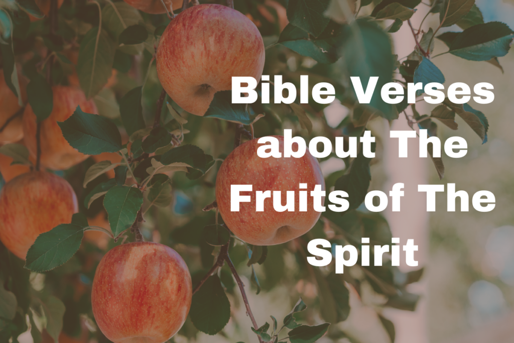 Bible Verses about The Fruits of The Spirit