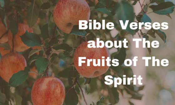Bible Verses about The Fruits of The Spirit