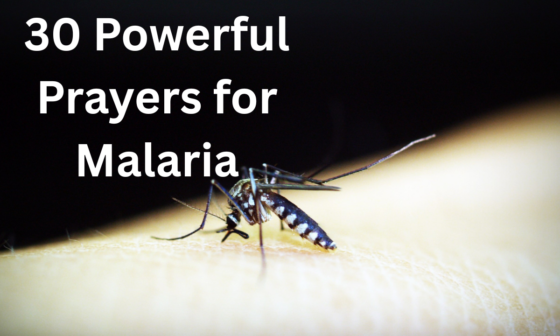 30 Powerful Prayers for Malaria