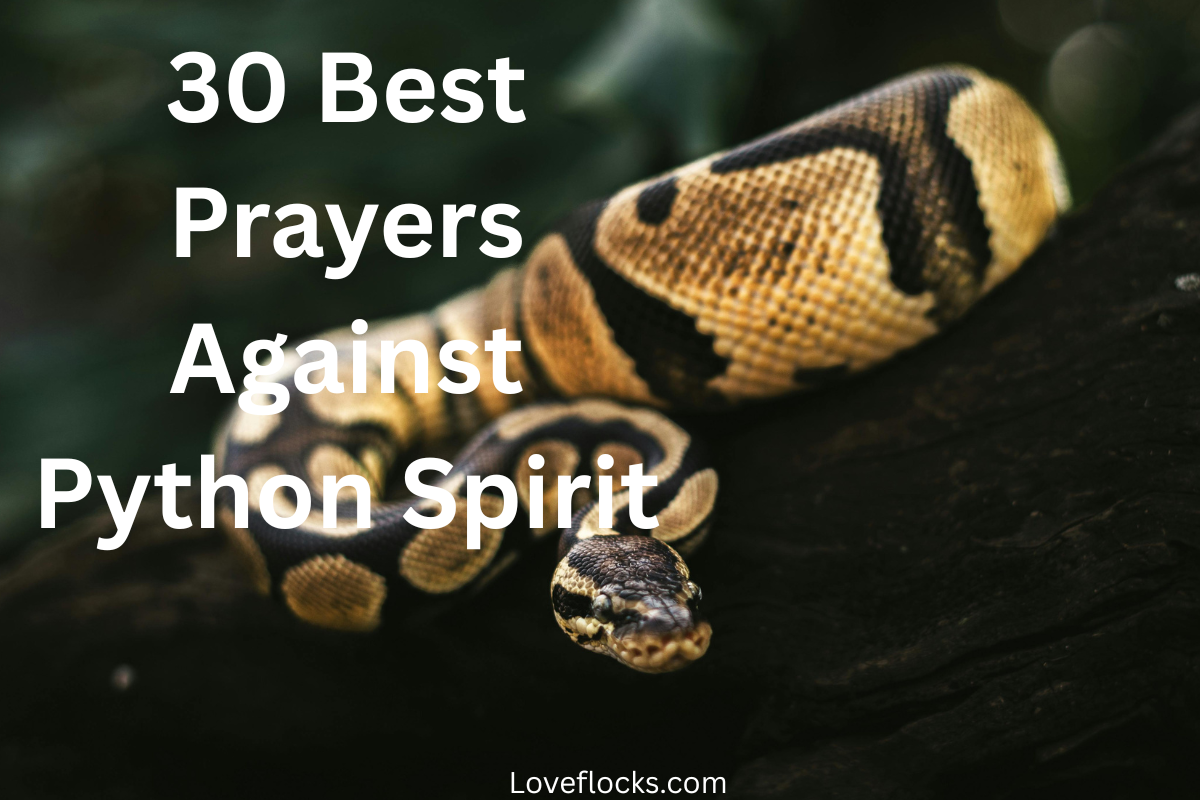 30 Best Prayers Against Python Spirit - LoveFlocks