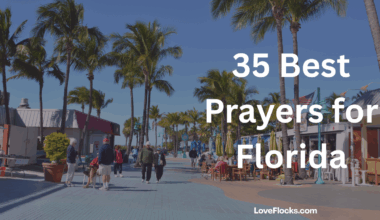 35 Best Prayers for Florida