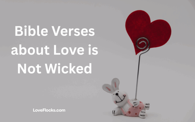 Bible Verses about Love is Not Wicked