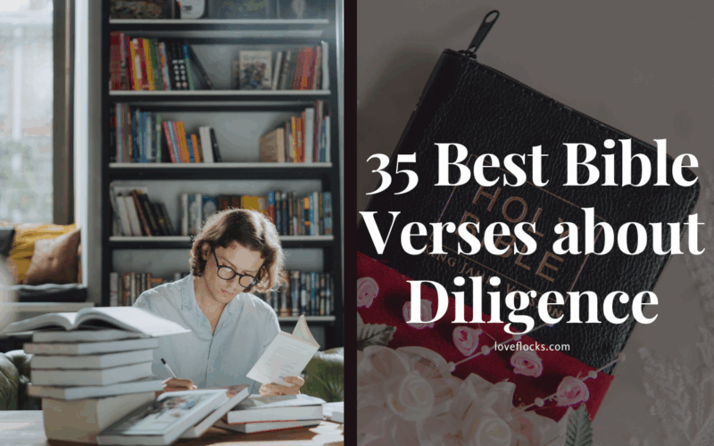 35 Best Bible Verses about Diligence