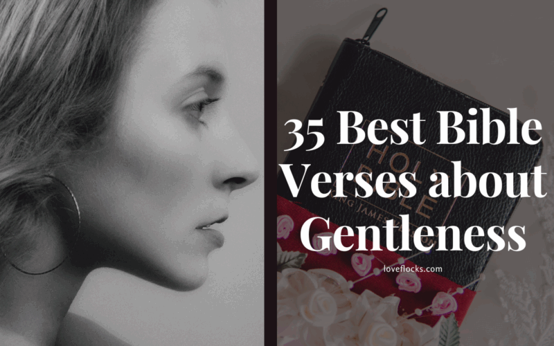 Tenderness, compassion, and mercy are characteristics of God's character. His interactions with people are characterized by gentleness throughout the Bible, providing instruction in patience, consolation in our frailties, and correction in love. God wants to cultivate gentleness in us by the Holy Spirit, in addition to how He interacts with us. Living in harmony with God's nature and showing His compassion to a world that is in pain is what it means to live softly.