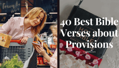 40 Best Bible Verses about Provisions