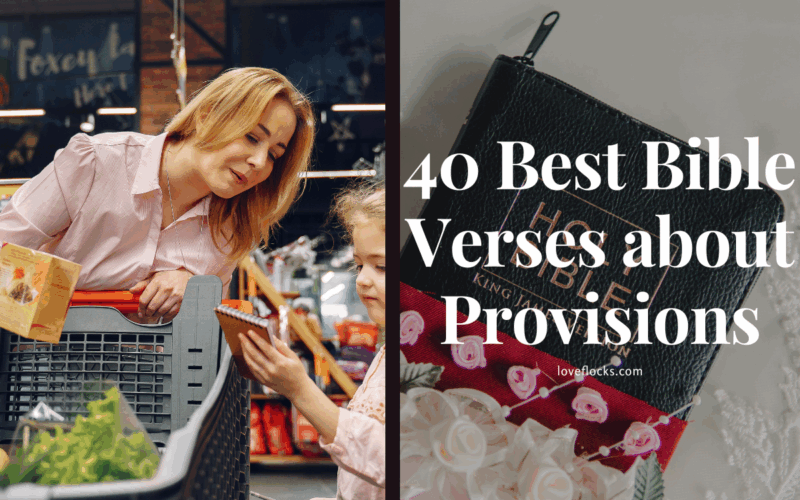 40 Best Bible Verses about Provisions