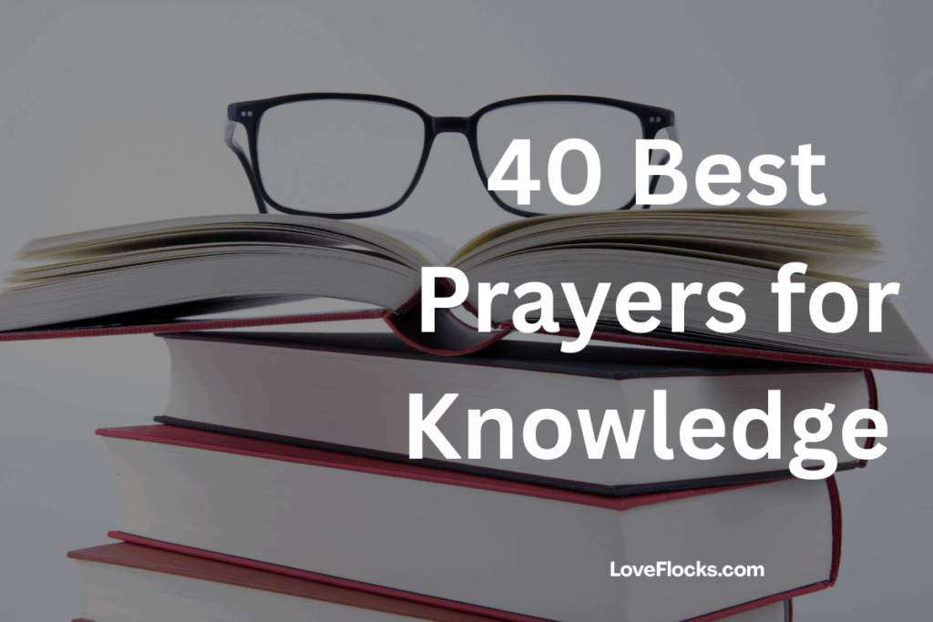 40 Best Prayers for Knowledge 