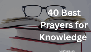 40 Best Prayers for Knowledge