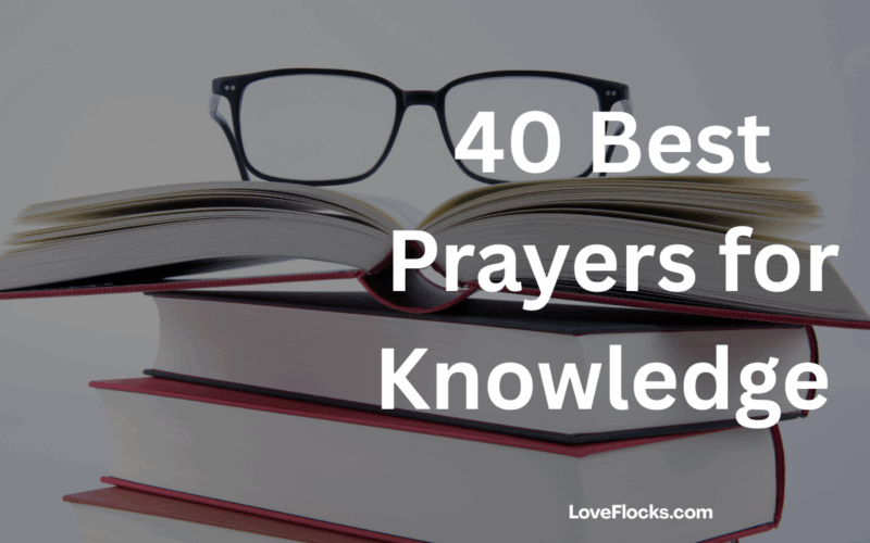 40 Best Prayers for Knowledge