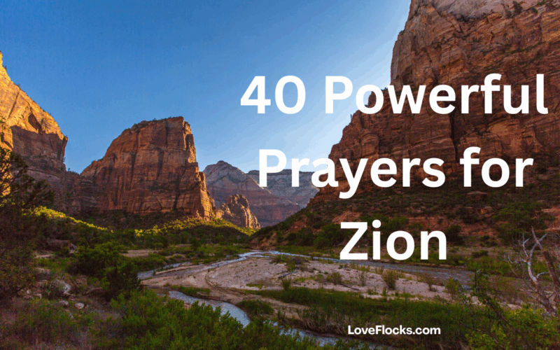 40 Powerful Prayers for Zion