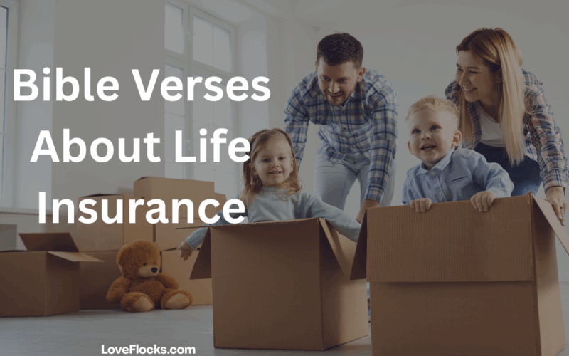 Bible Verses About Life Insurance
