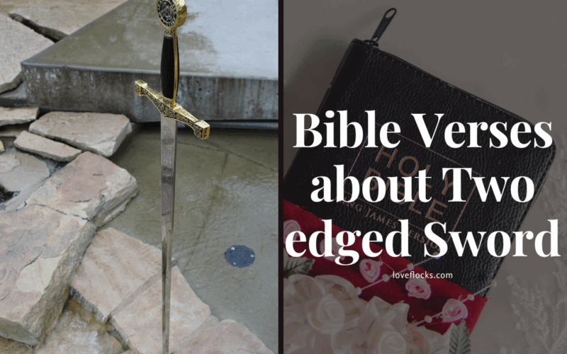 Bible Verses about the Two edged Sword