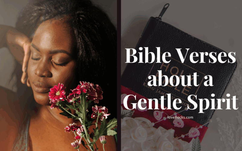 Bible Verses about a Gentle Spirit