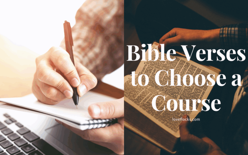 Bible Verses to Help You Choose a Course