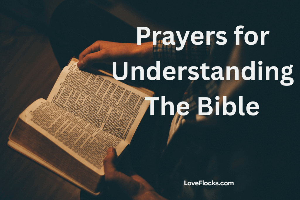 Prayers for Understanding The Bible