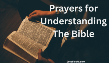 Prayers for Understanding The Bible