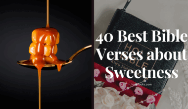 40 Best Bible Verses about Sweetness