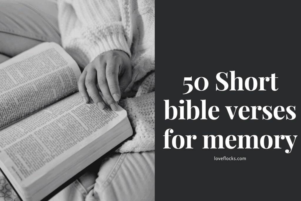 50 Short bible verses for memory