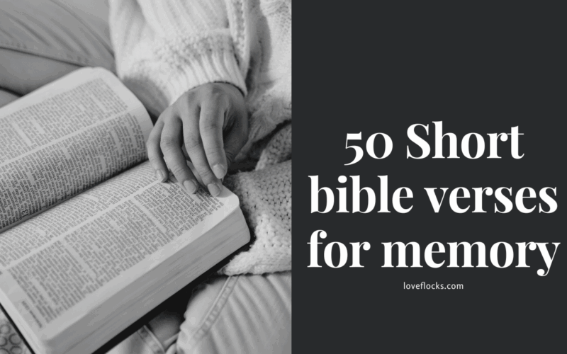 50 Short bible verses for memory