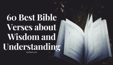 60 Best Bible Verses about Wisdom and Understanding