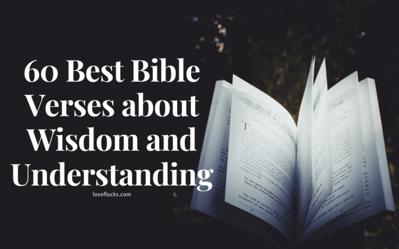 60 Best Bible Verses about Wisdom and Understanding