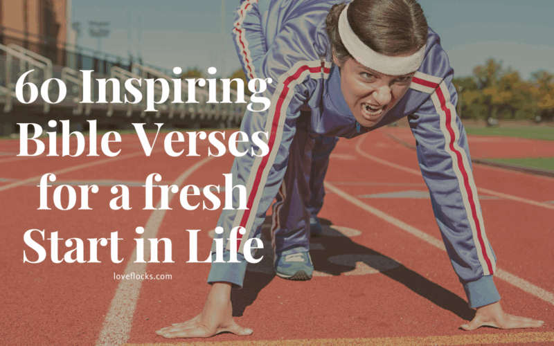 60 Inspiring Bible Verses for a Fresh Start in Life