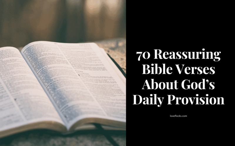 Bible Verses About God’s Daily Provision