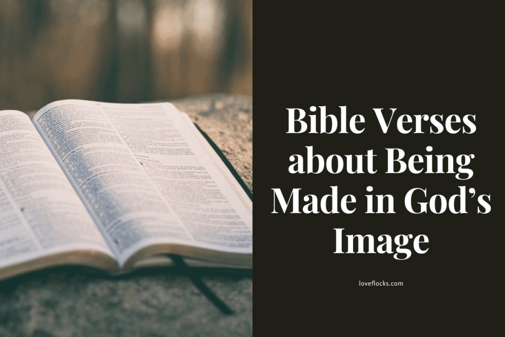 Bible Verses about Being Made in God’s Image