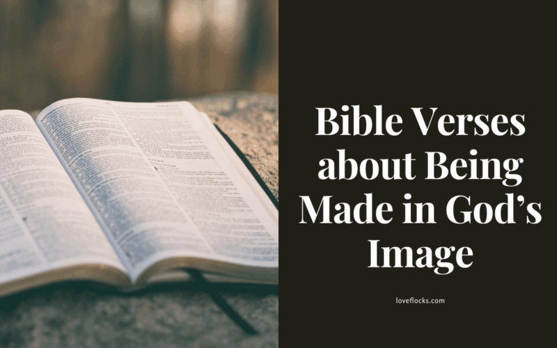 Bible Verses about Being Made in God’s Image