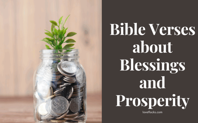Bible Verses about Blessings and Prosperity
