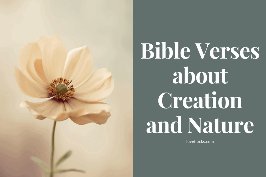 Bible Verses about Creation and Nature