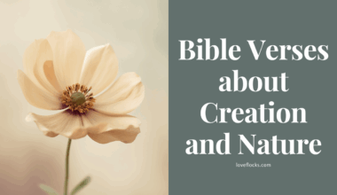 Bible Verses about Creation and Nature
