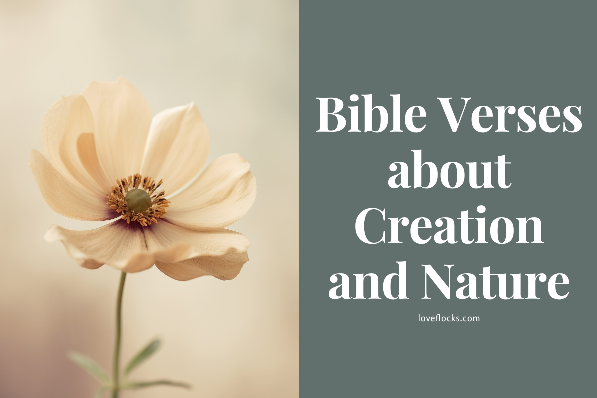 Bible Verses About Creation And Nature - LoveFlocks