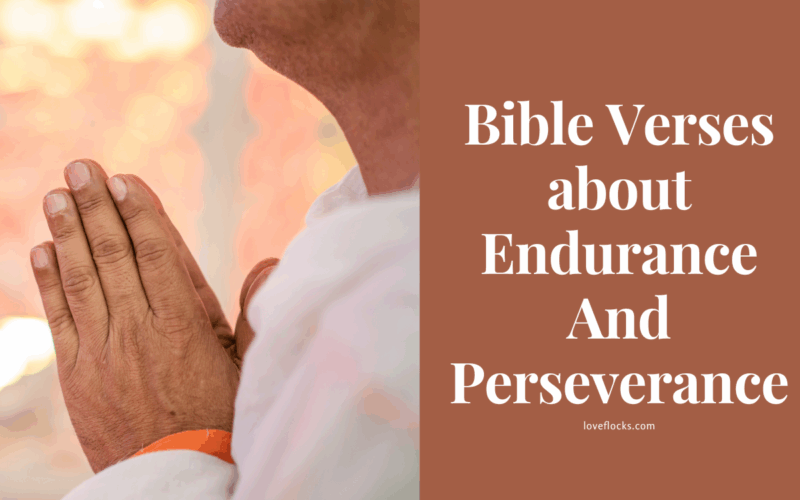 Bible Verses about Endurance And Perseverance