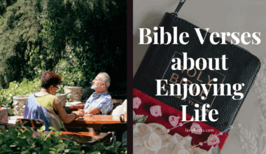 Bible Verses about Enjoying Life