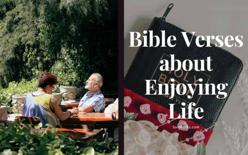 Bible Verses about Enjoying Life